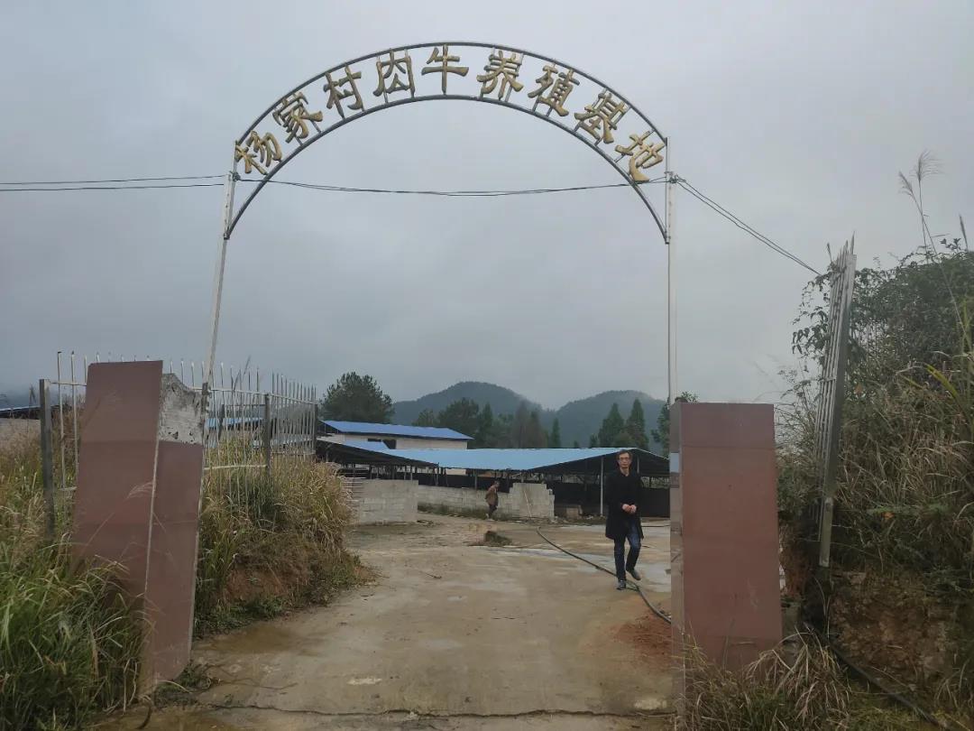 为乡村产业服务——畜牧兽医专业下乡记