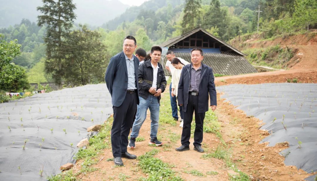 县中等职业学校赴冷水溪镇考察交流政校企合作事宜